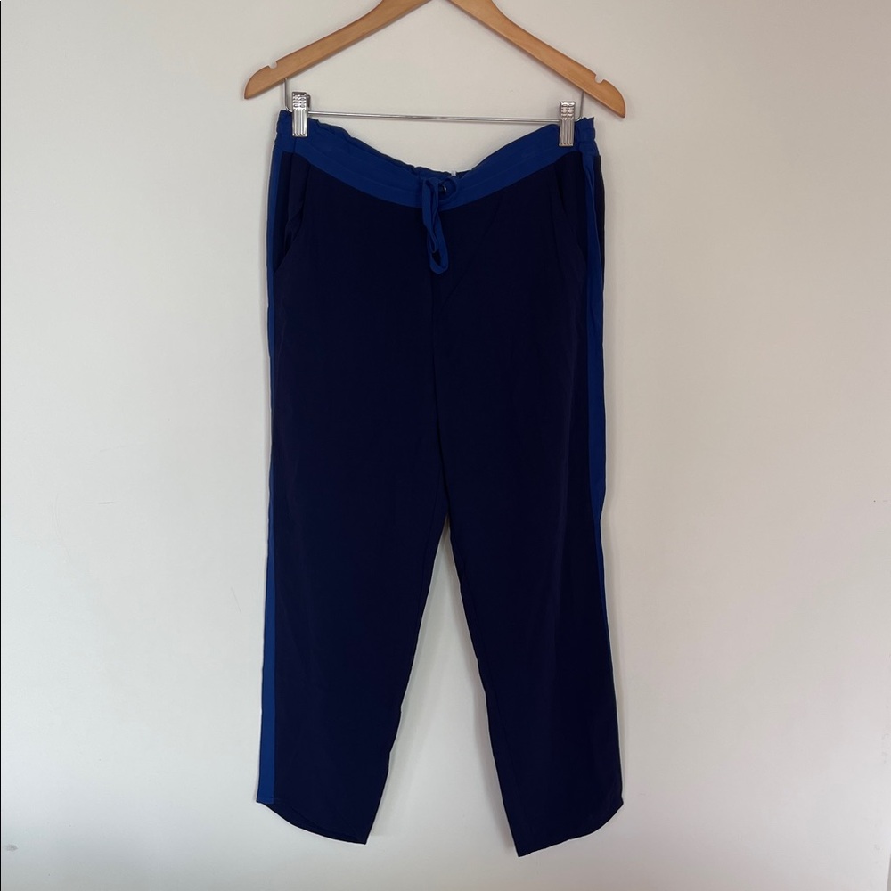 Splendid silk-like pants